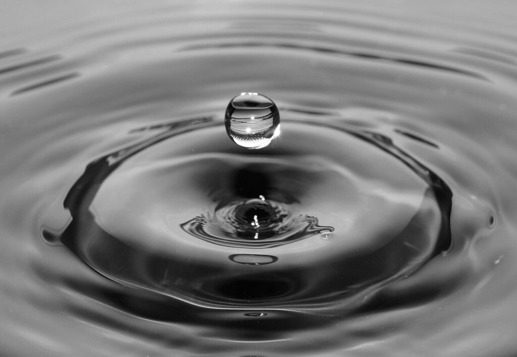 water, nature, water drop-384649.jpg