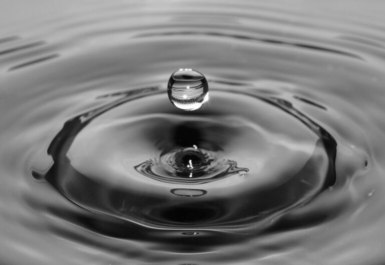 water, nature, water drop-384649.jpg